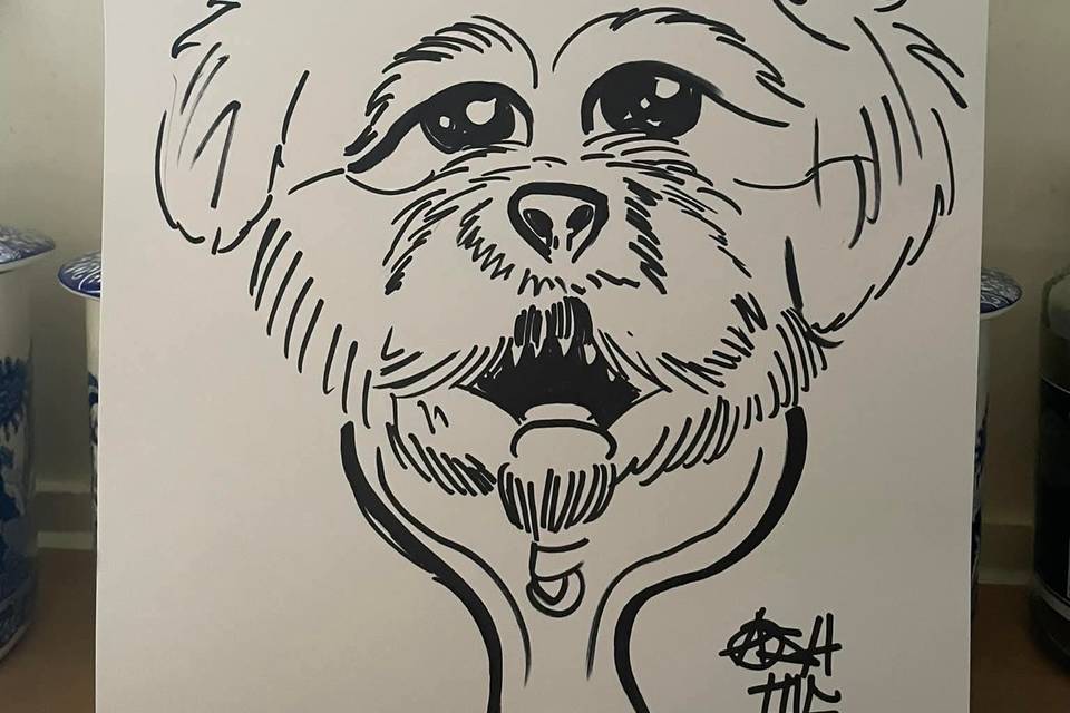 A pet caricature
