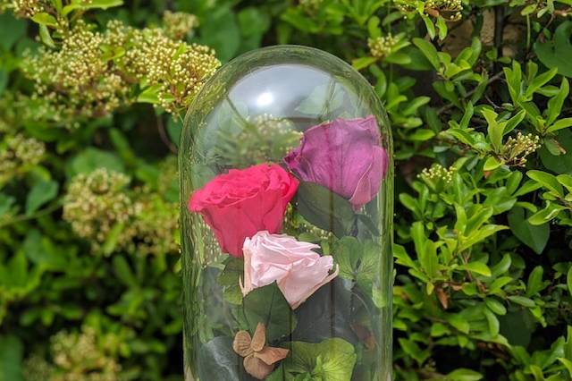 Large Dome with pink roses