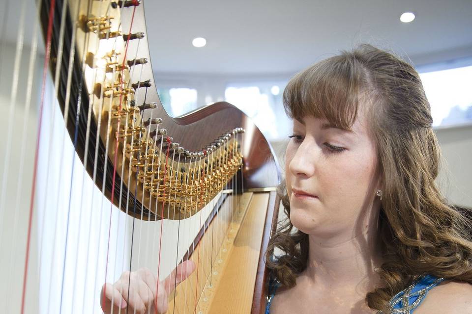 Heather Wrighton - Harpist