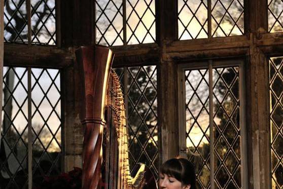 Heather Wrighton Harpist