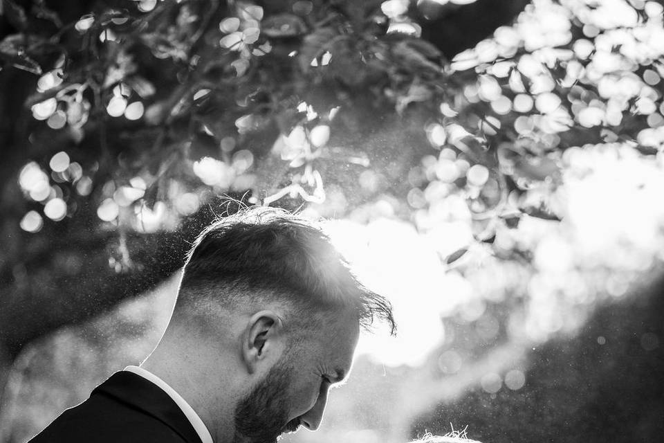 The look of love