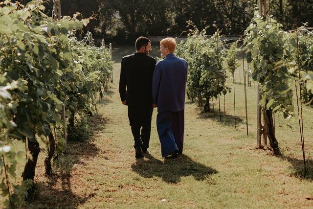 Wedding Vineyard