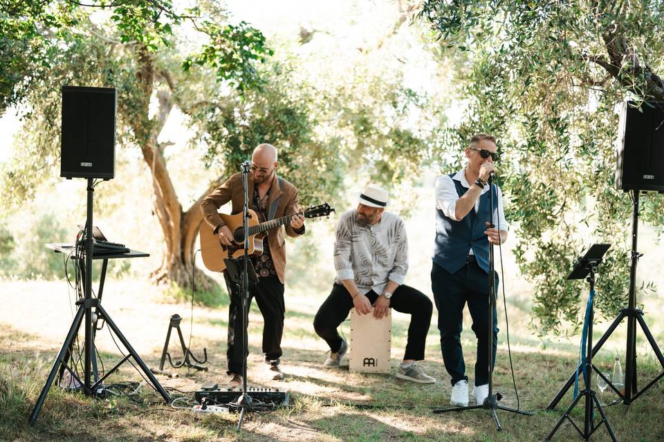 Wedding Music