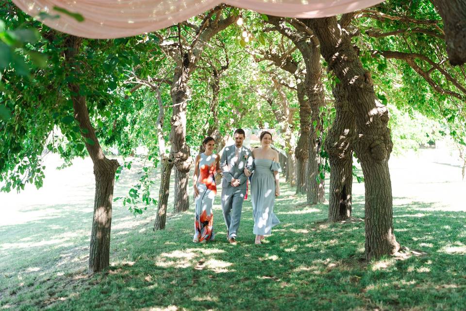 Wedding Entrance