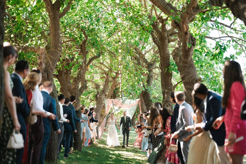 Wedding Exit