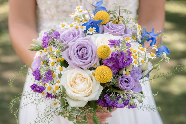 Elizabeth Aldred Photography