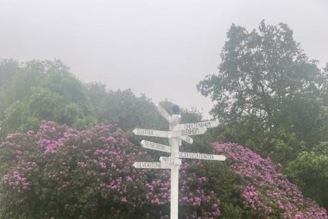 Sign Post