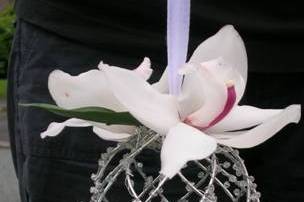 Orchid pomanda