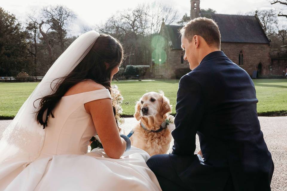 Special Furry Guests