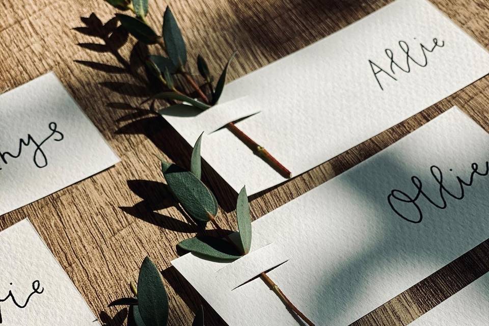 Wedding name place cards