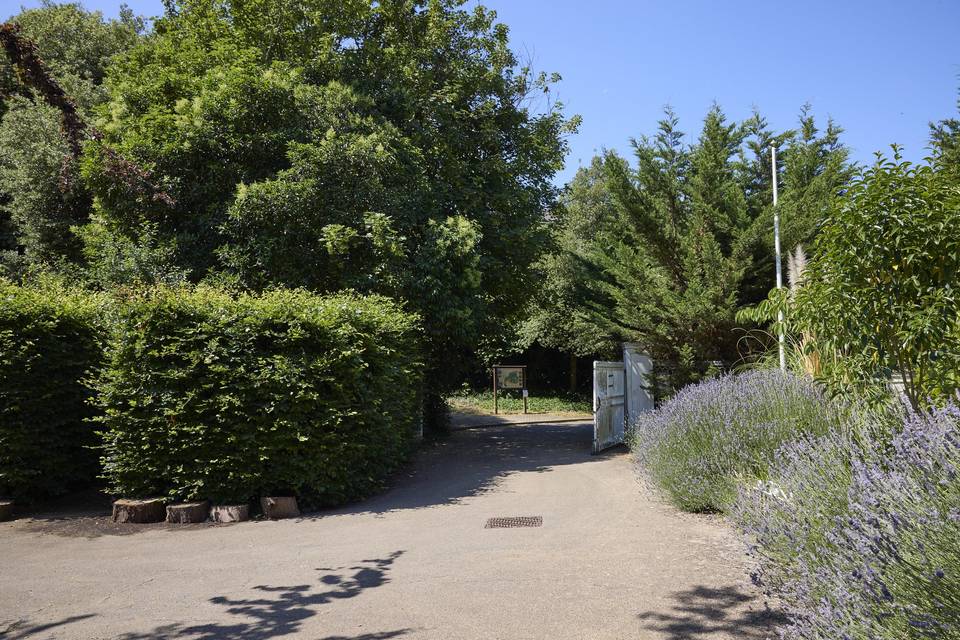 Grounds