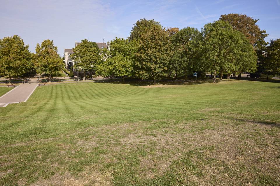 Grounds