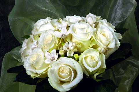 White rose bridal bouquet