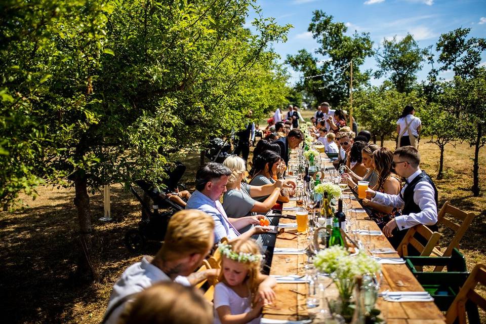 Dining in the orchard