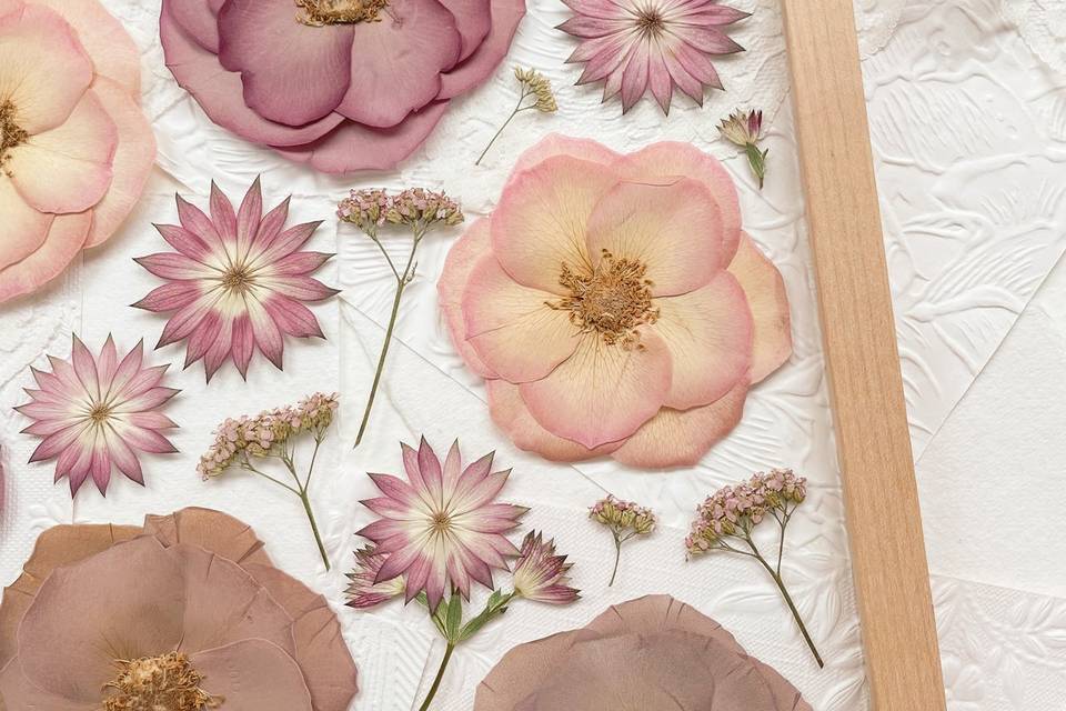 Pressed Flowers on Glass