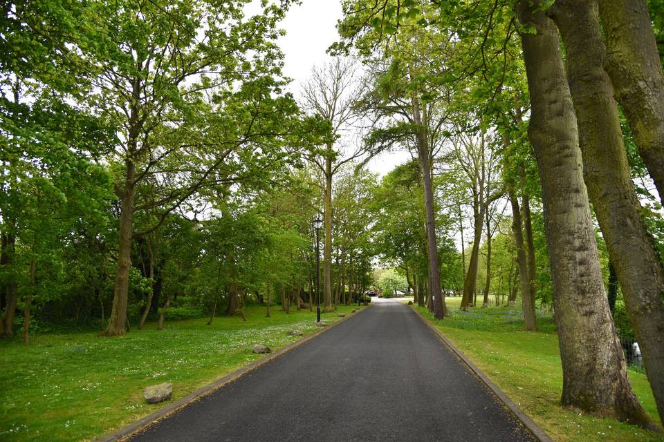 Driveway to the Hotel