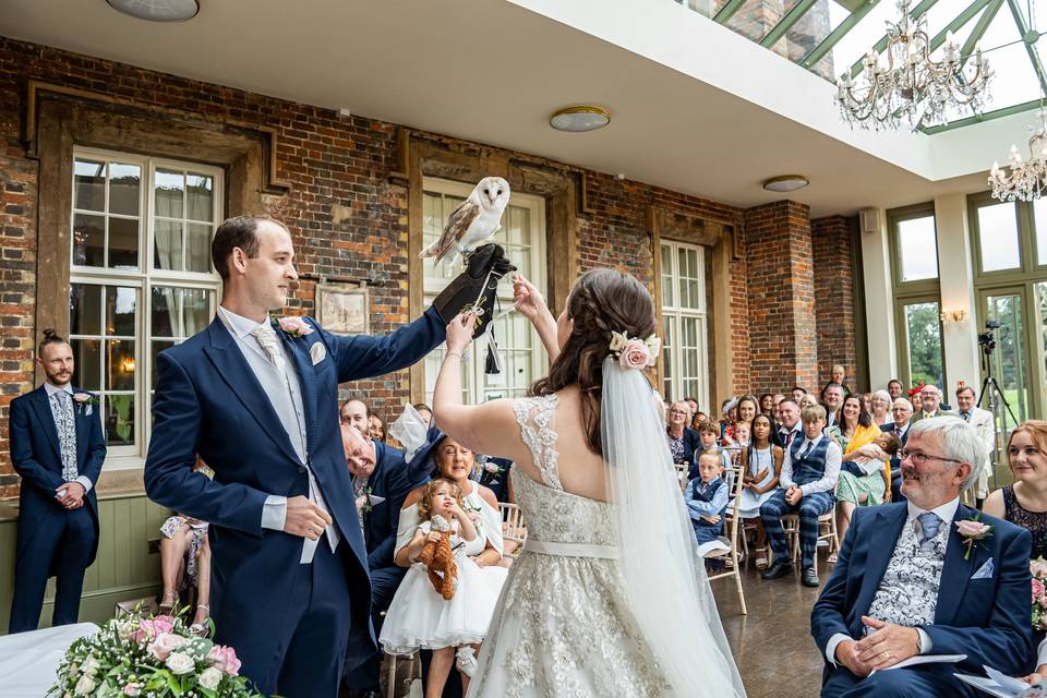 Owl ring bearer