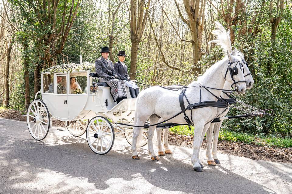 Wedding horse and carriage
