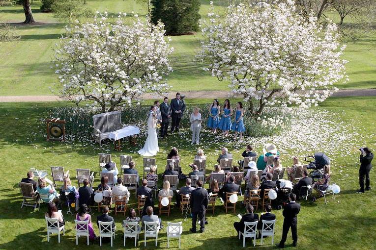 Under the blossom