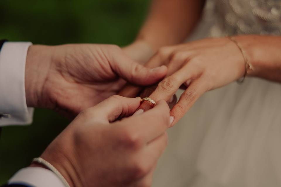 The rings.