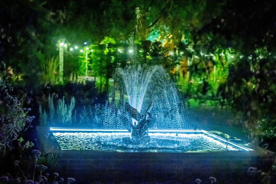 Fountain and night