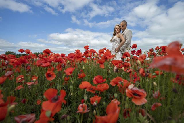 Surrounded by poppies