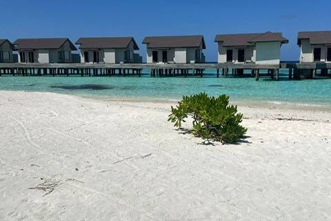 The Maldives