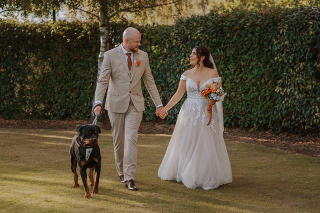 Dolly & Co Weddings | Wedding Dog Chaperone
