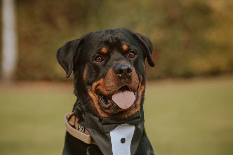 Reggie