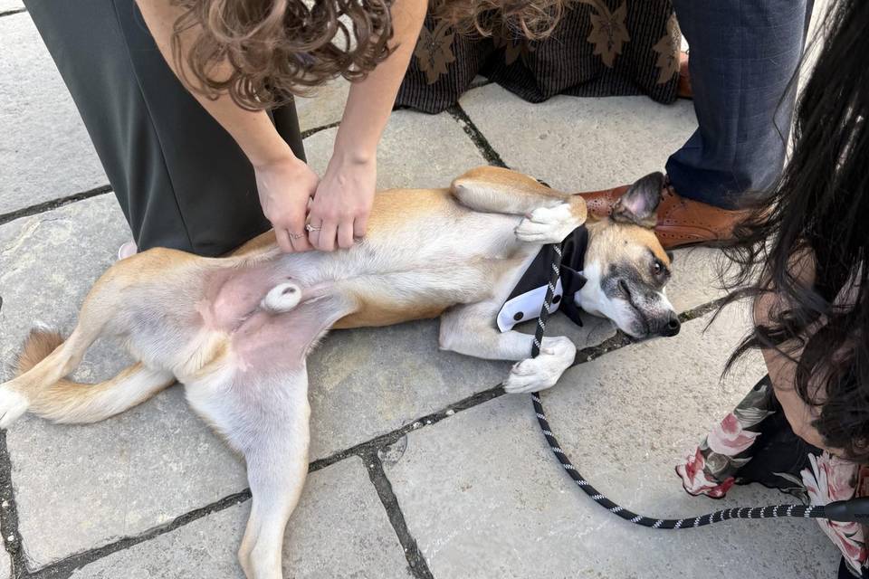 Enjoying the attention