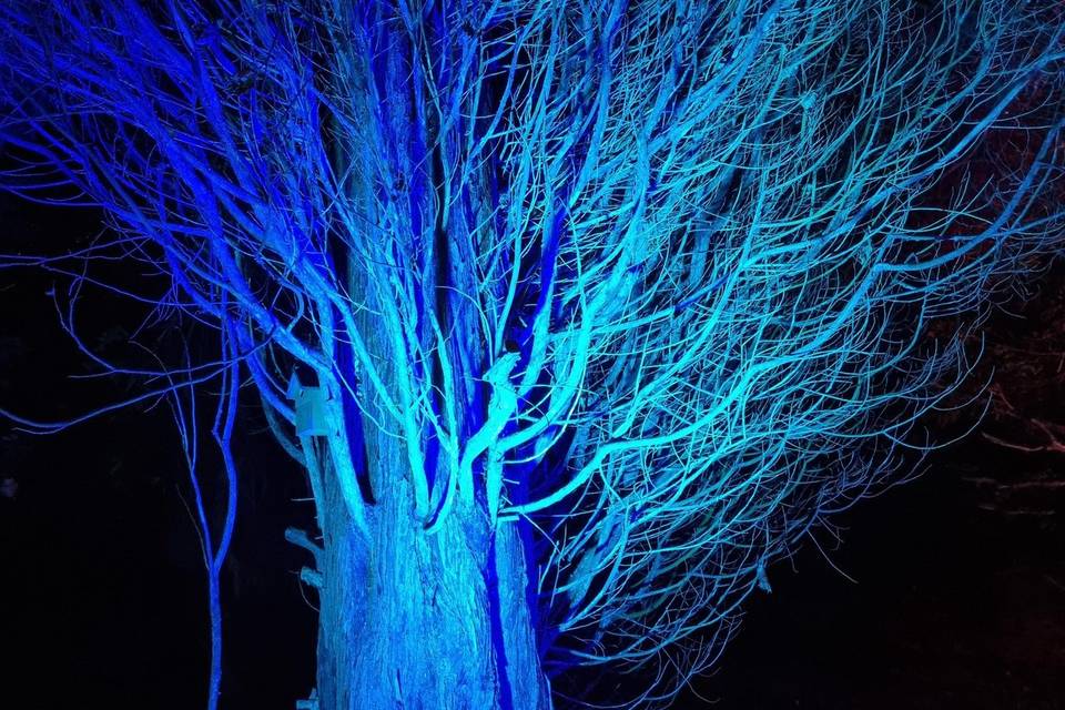 Tree lighting