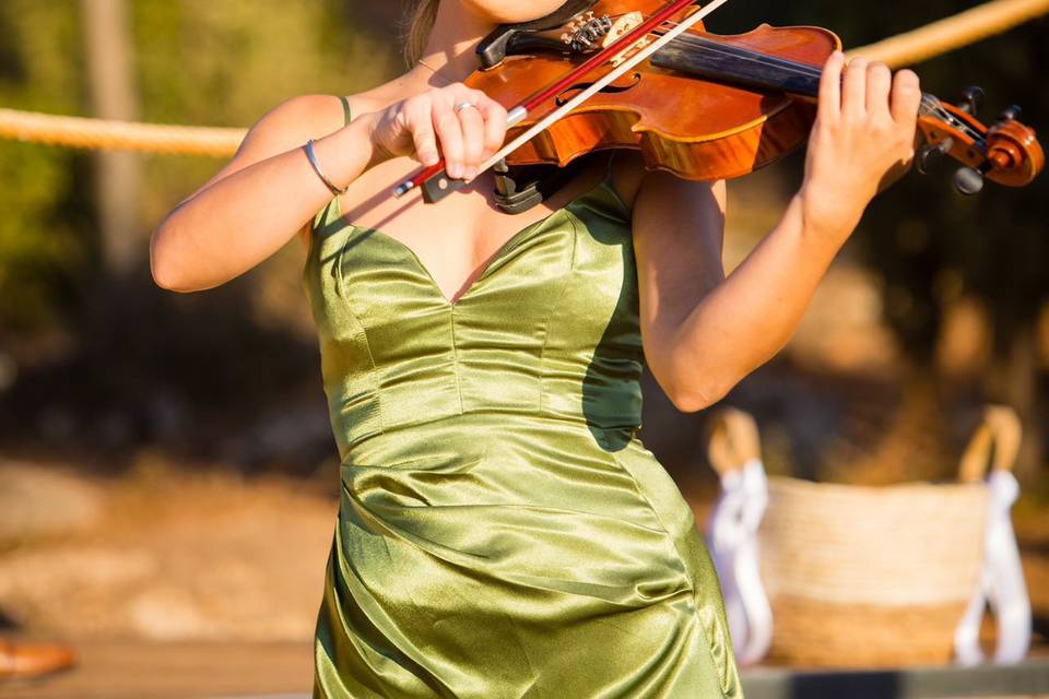 Violinist