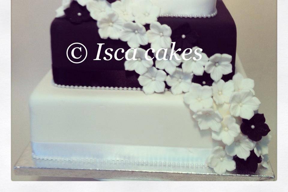 Isca Cakes