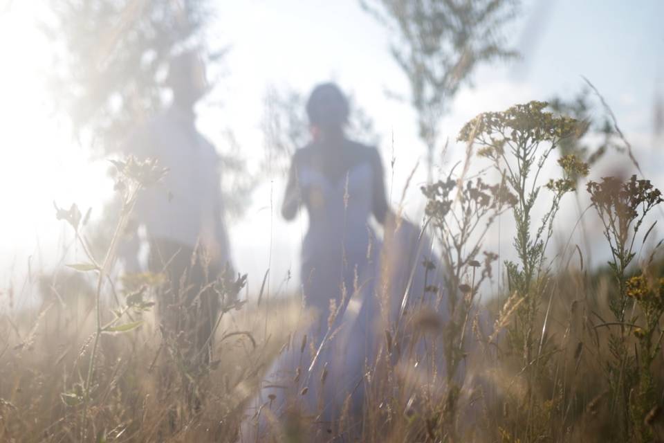 Walk among the wildflowers