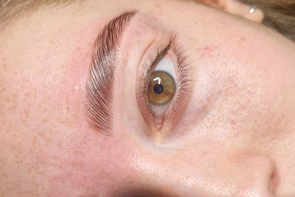 Lamination brows