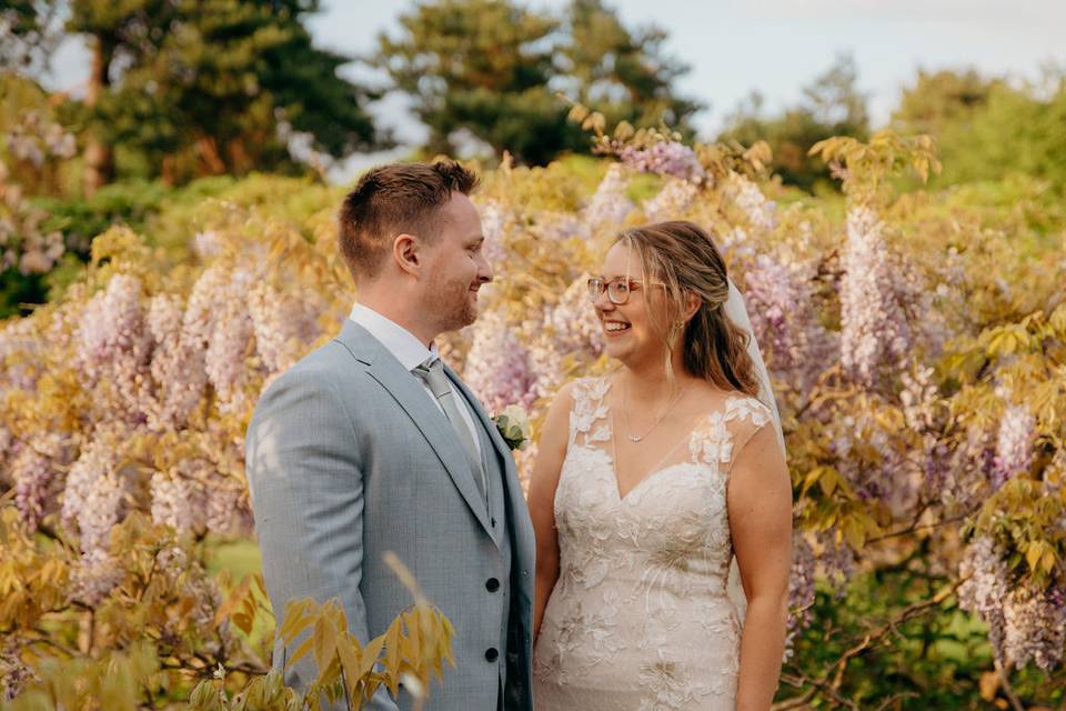 Wisteria portraits