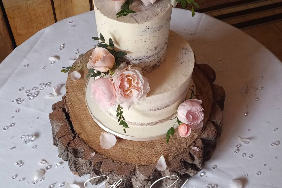 Two tier semi naked cake