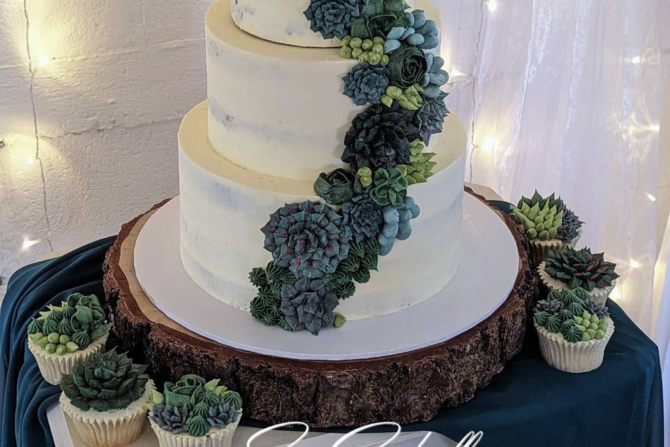 Butter cream succulents