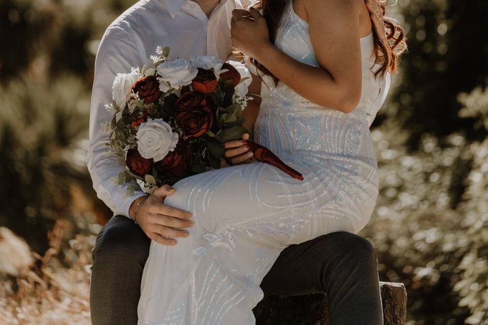 Www.fantailphotos.co.uk