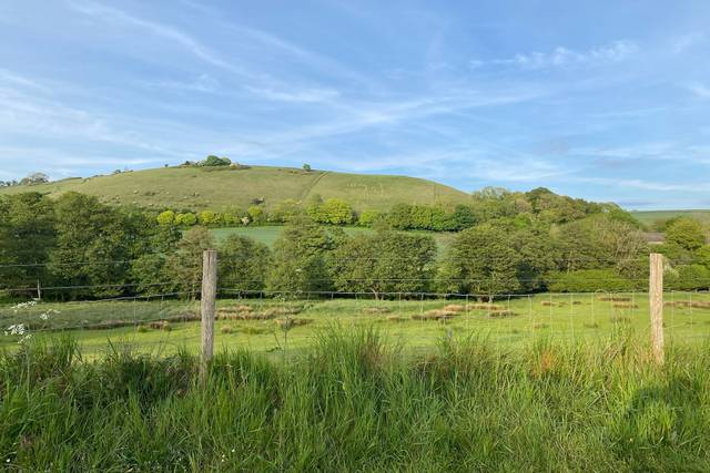 View of the Cerne Abbas Giant