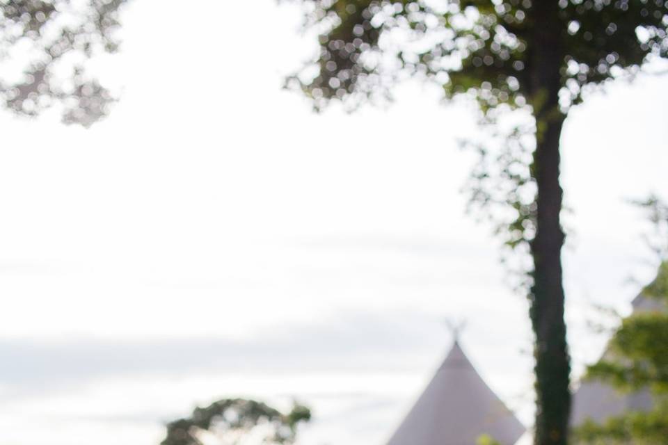 Cosmos and Tipis at Monks Withecombe