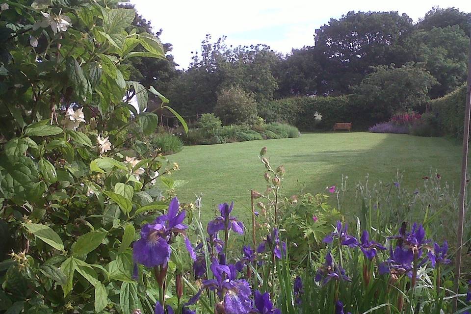 The main lawn at Monks Withecombe