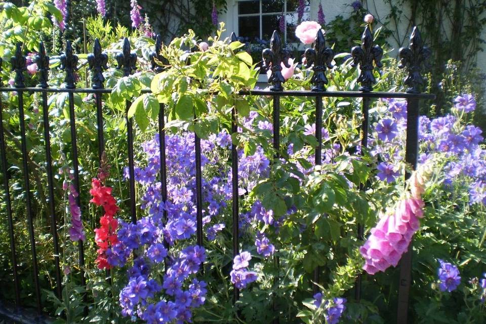 Cottage garden at Monks Withecombe