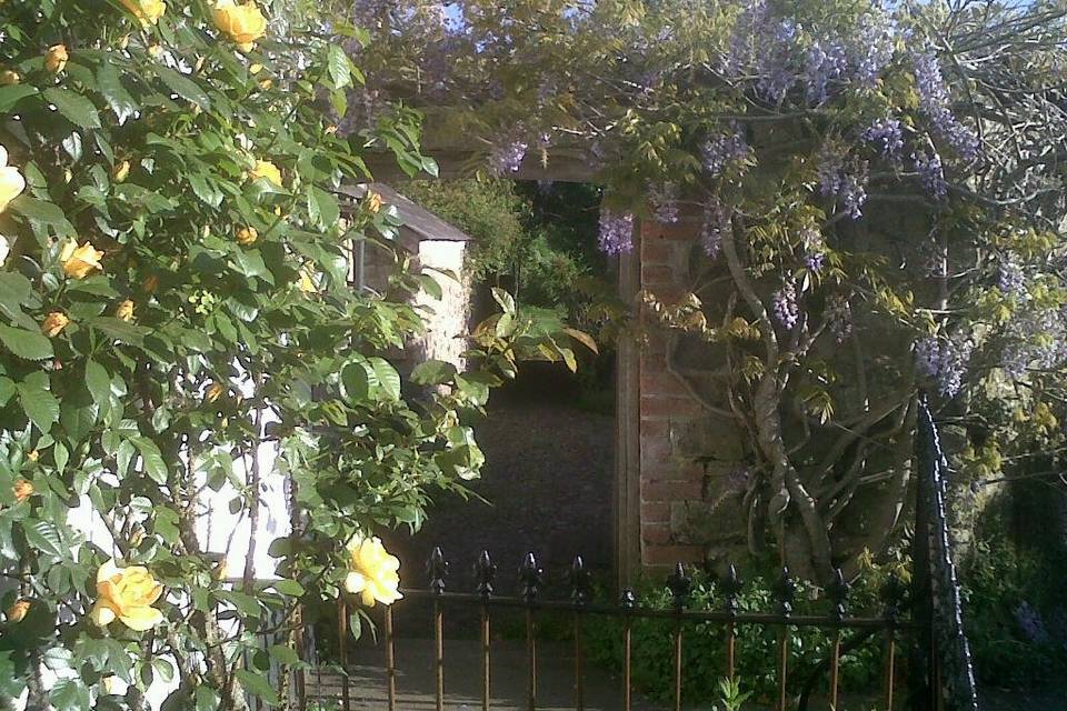 Entrance to the courtyard at Monks - Rose and Wisteria