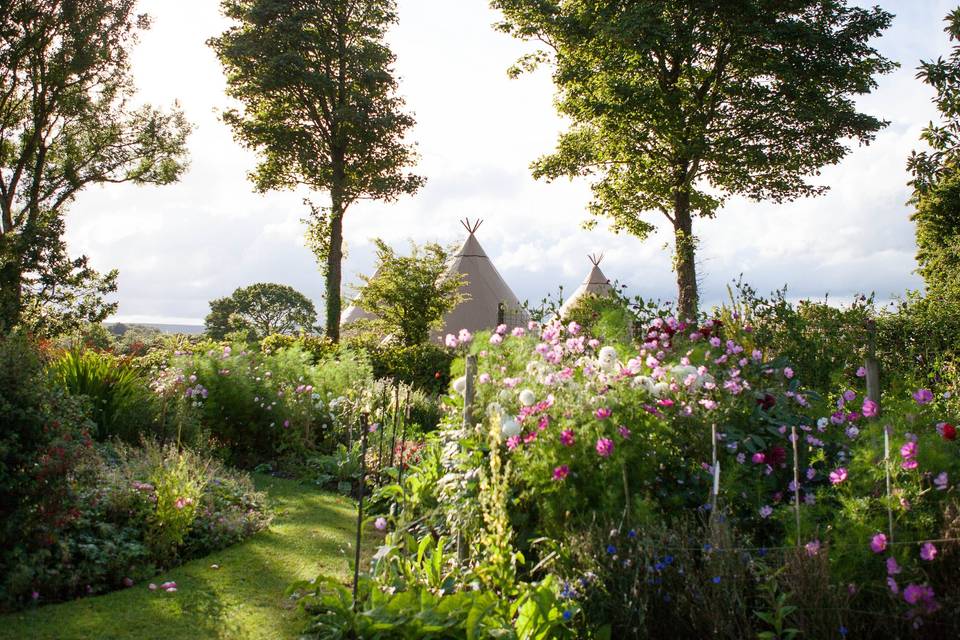 Teepees and Garden at Monks Withecombe