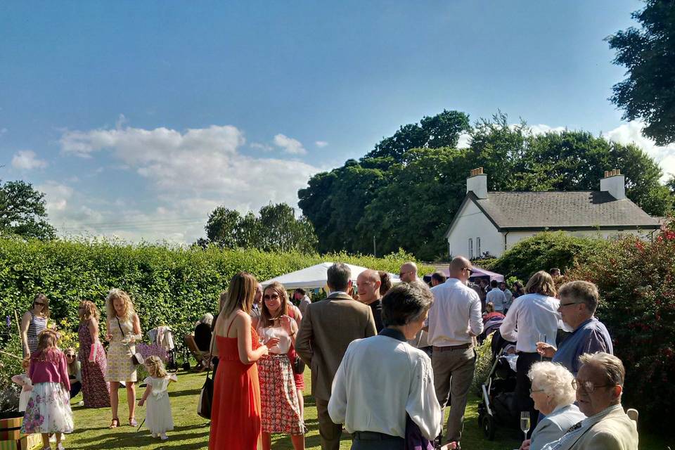 Wedding Guests in the Sunshine