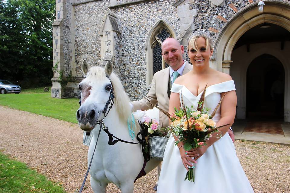 Wedding ponies