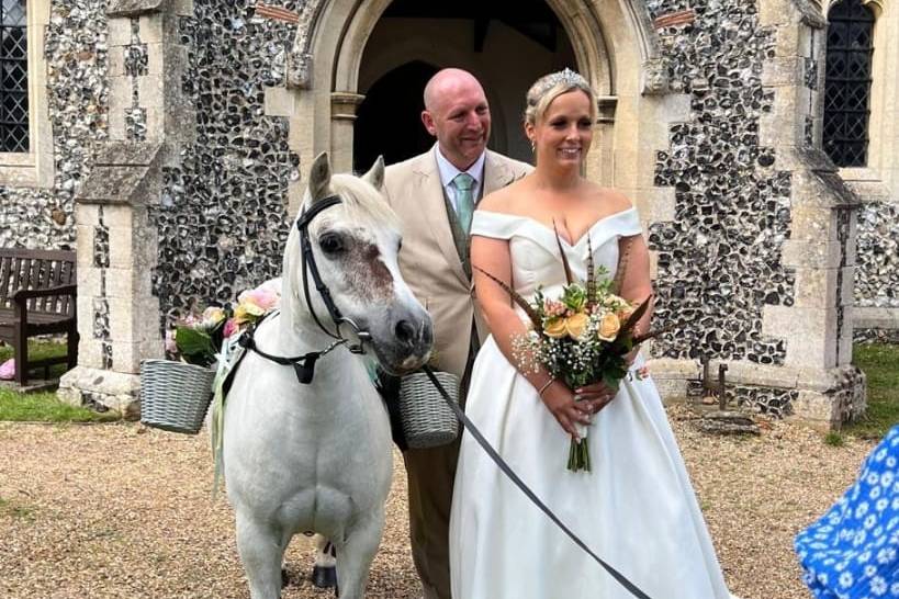 Wedding ponies