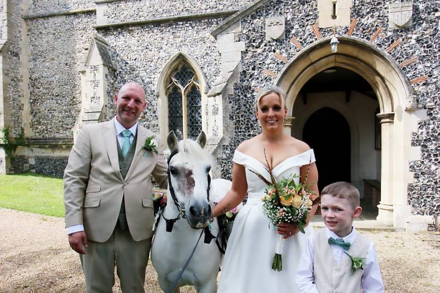 Wedding ponies