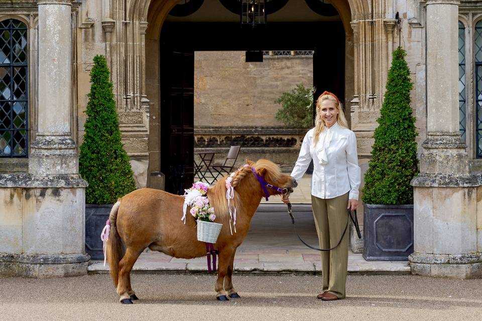 Confetti pony - Hengrave Hall